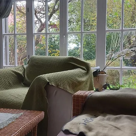 Scholz באד מינדר אם דייסטר